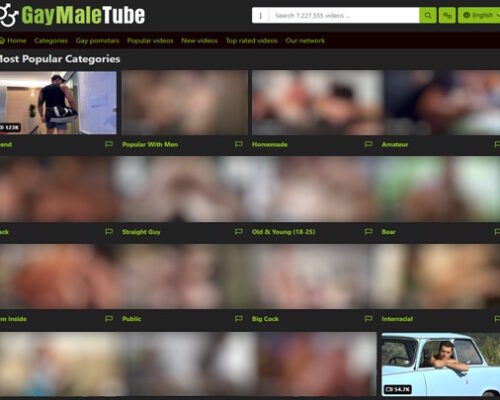 GayMaleTube